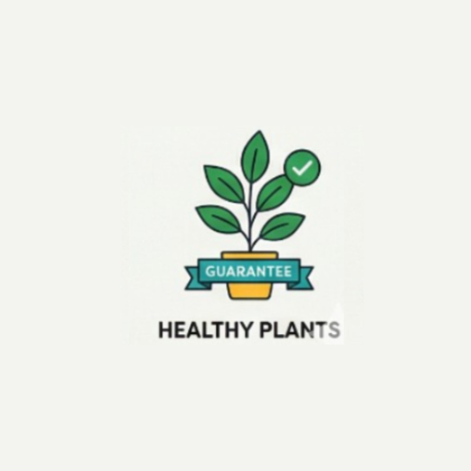 Healthy Plants