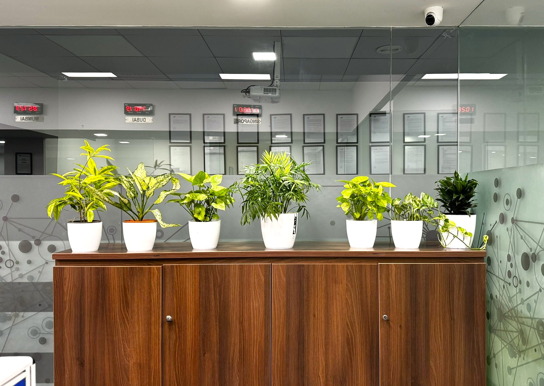 Indoor Styling