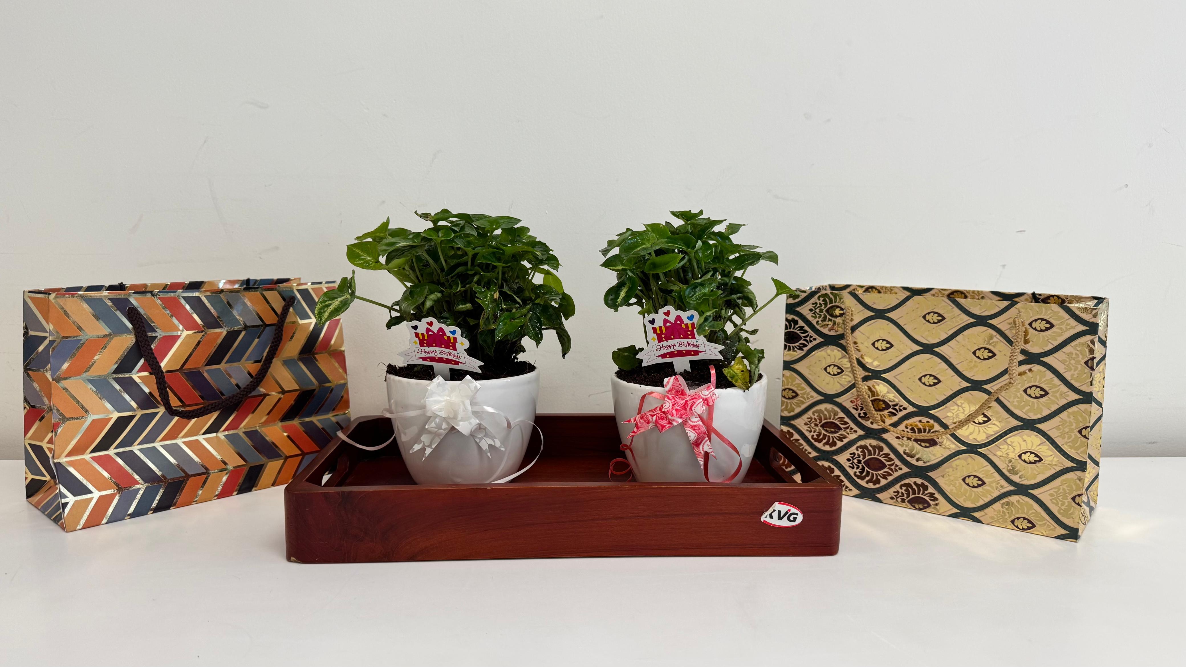 Corporate Gifting