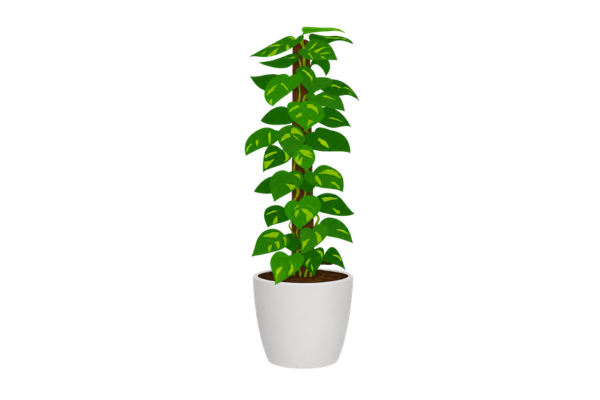 Money Plant Rental Mumbai Office
