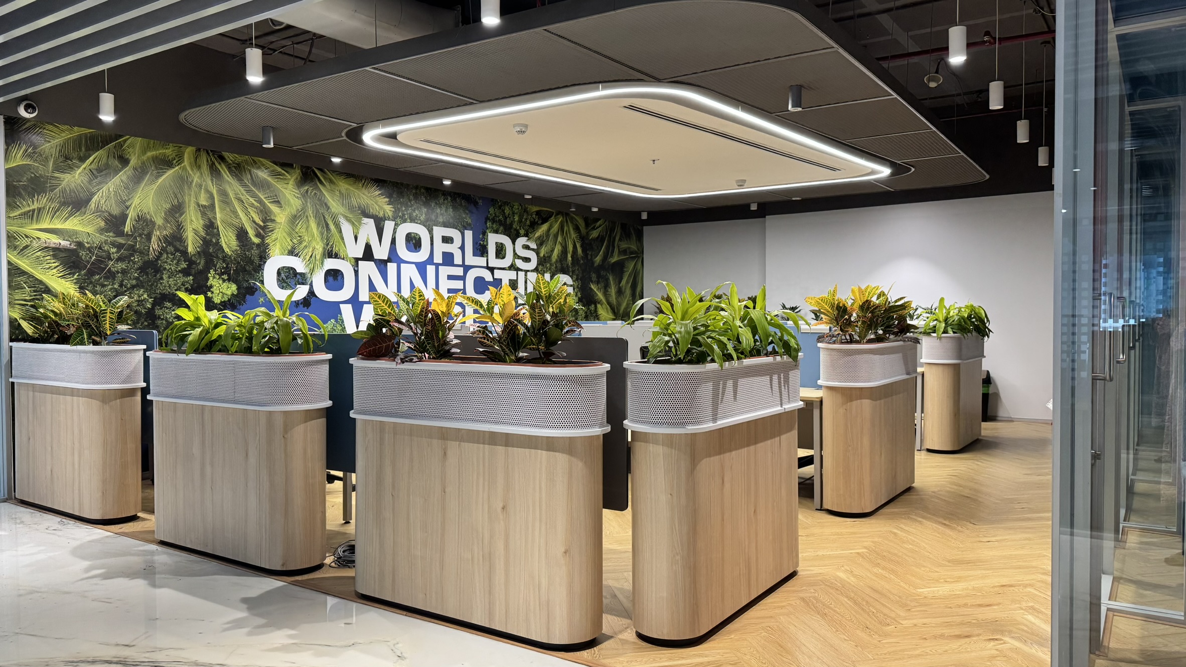 Office Plant Rental Mumbai - Mhatre Nursery